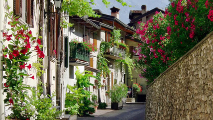 Flowers of Italy